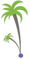 Palmensamen, die Palmbox